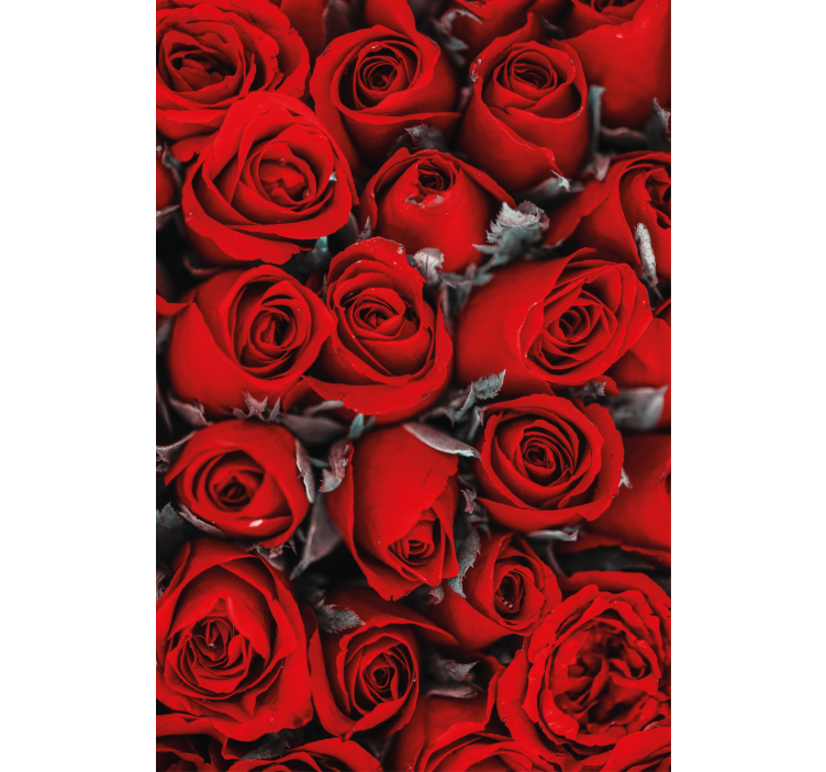 Red roses romantic flower kitchen blind - TenStickers