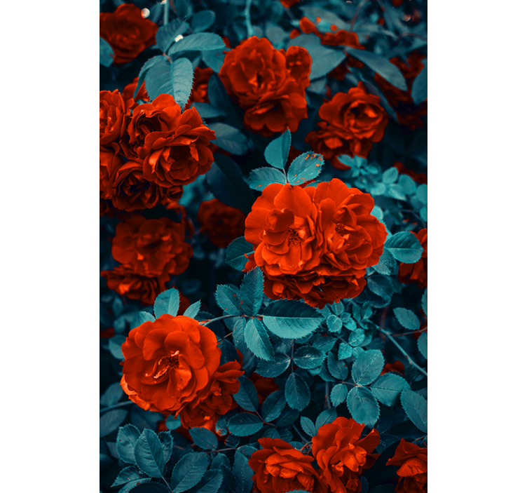 Vibrant Blooming Roses blind flowers and plants - TenStickers