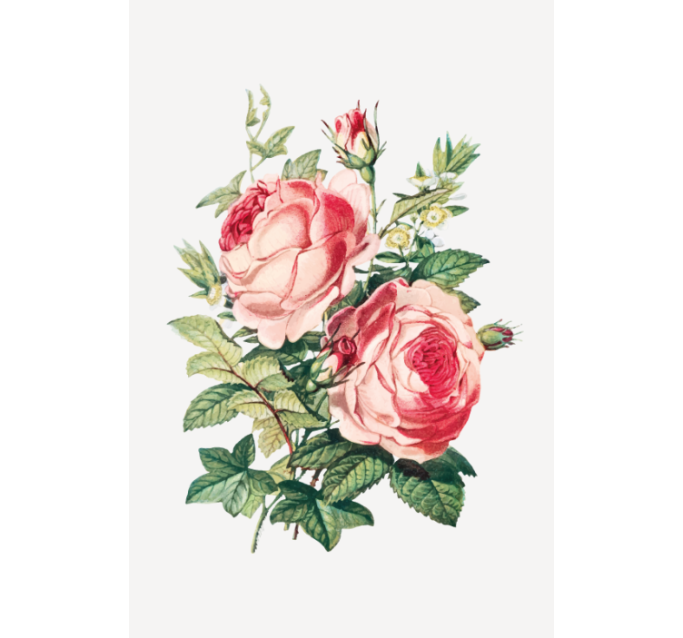 Romantic rose blooms blind flowers and plants - TenStickers