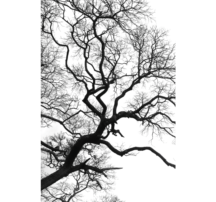 Single wood branch rupture grey kitchen blind painting - TenStickers