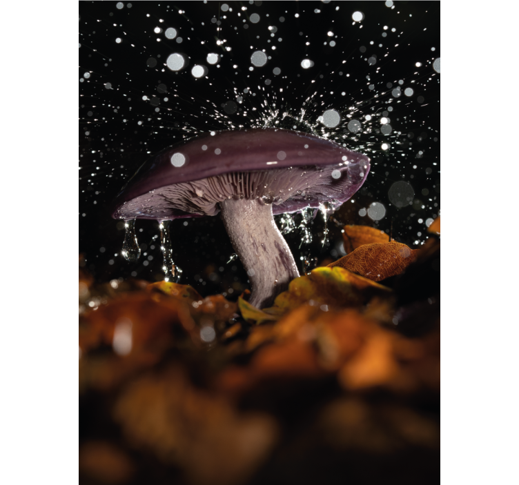 Mushroom with Splash blind - TenStickers