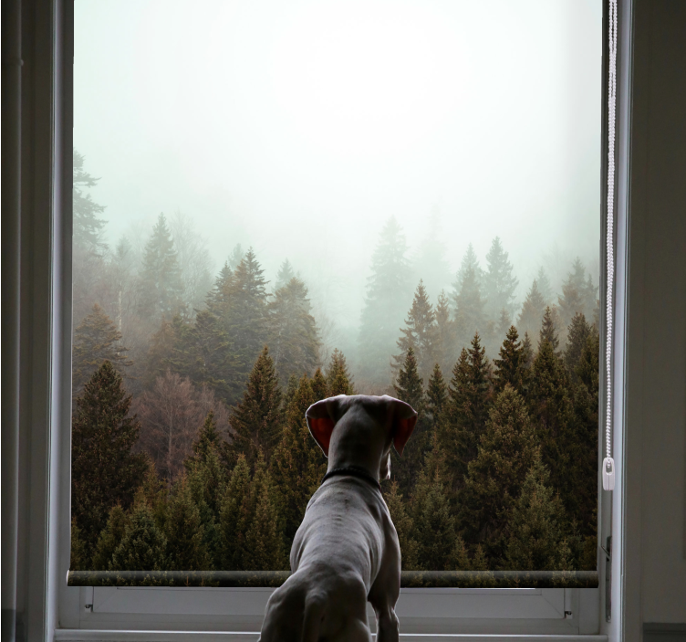 Misty forest view tree roller blind - TenStickers