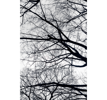 White and gray Tree roller blind - TenStickers