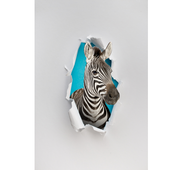 Zebra Animal teenage blind - TenStickers