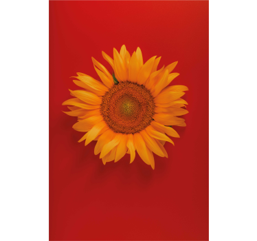 Red orange sunflower flower living room roller blind - TenStickers