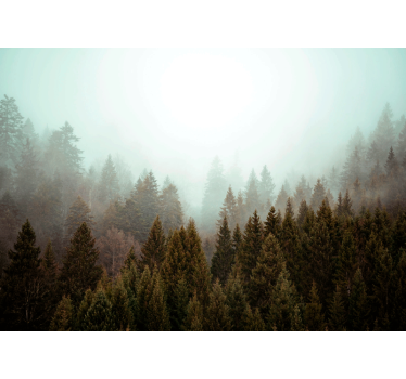 Misty forest view tree roller blind - TenStickers