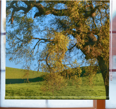 3D nature tree design  Living room roller blind - TenStickers