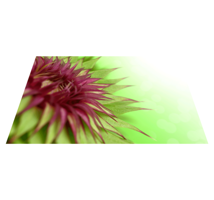 Thistle Plant Flower Placemats - TenStickers