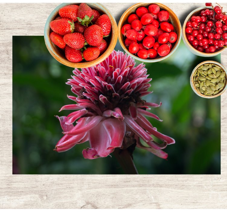 Original placemat tropical floral design - TenStickers