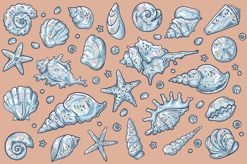 Original placemat seashell pattern display - TenStickers
