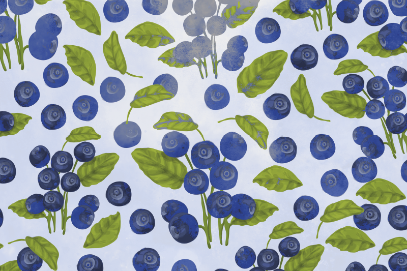 Original placemat blueberry leaf design - TenStickers