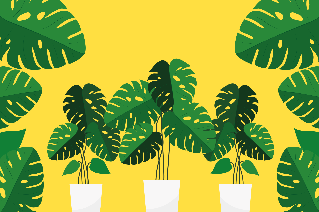 Modern placemat lively leafy design - TenStickers