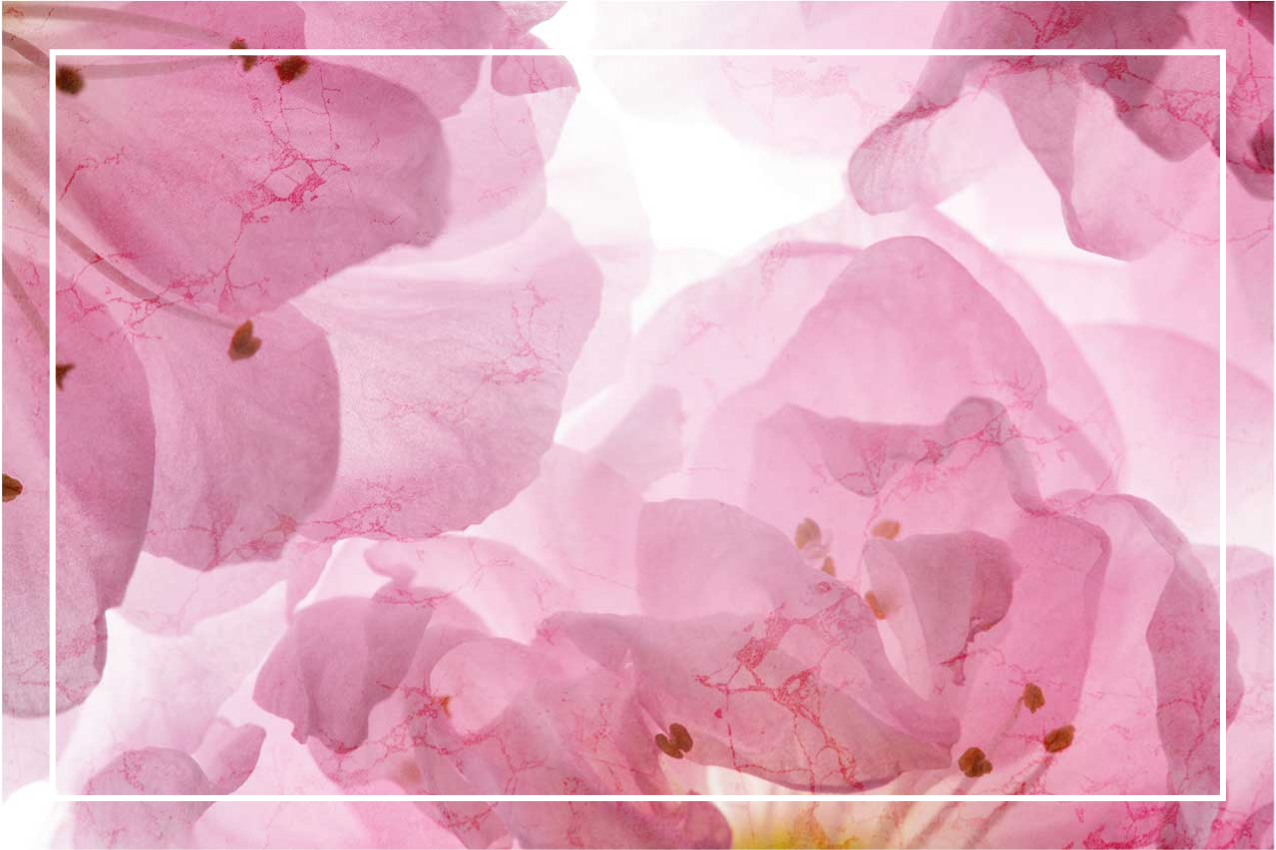 Elegant placemat with gentle floral design - TenStickers