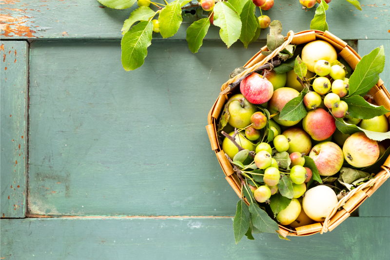 Placemat for home fruit basket design - TenStickers