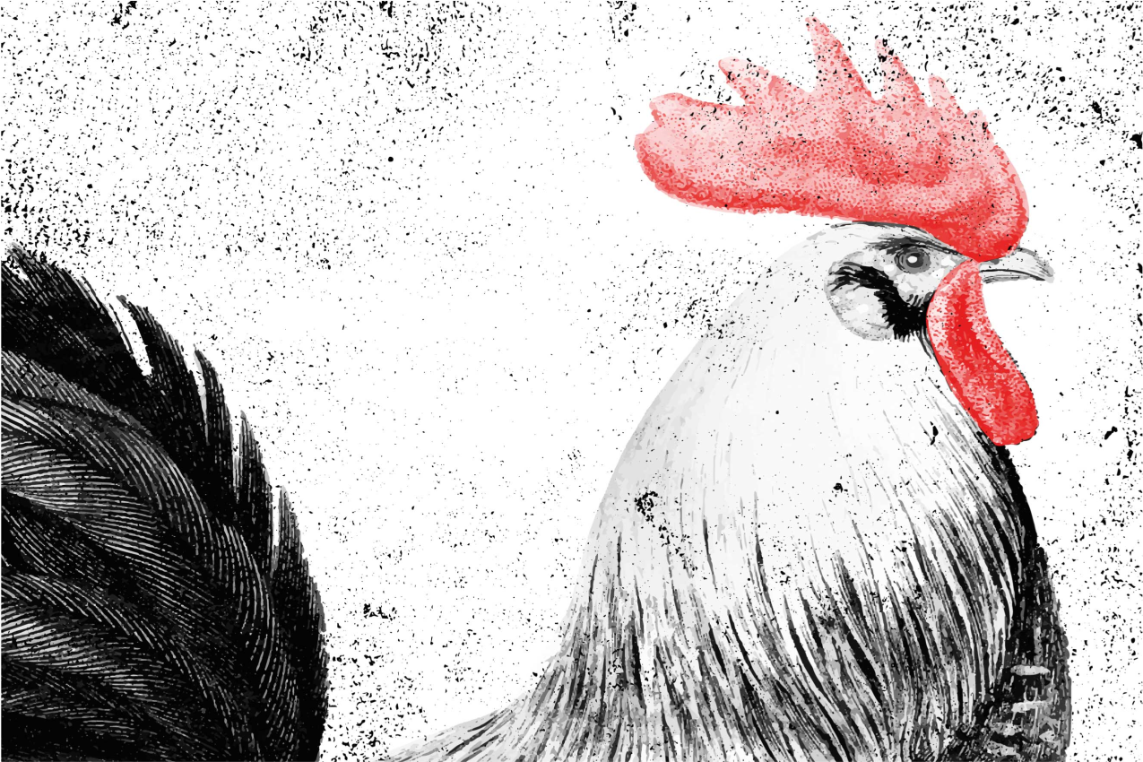 Original placemat rooster illustration - TenStickers