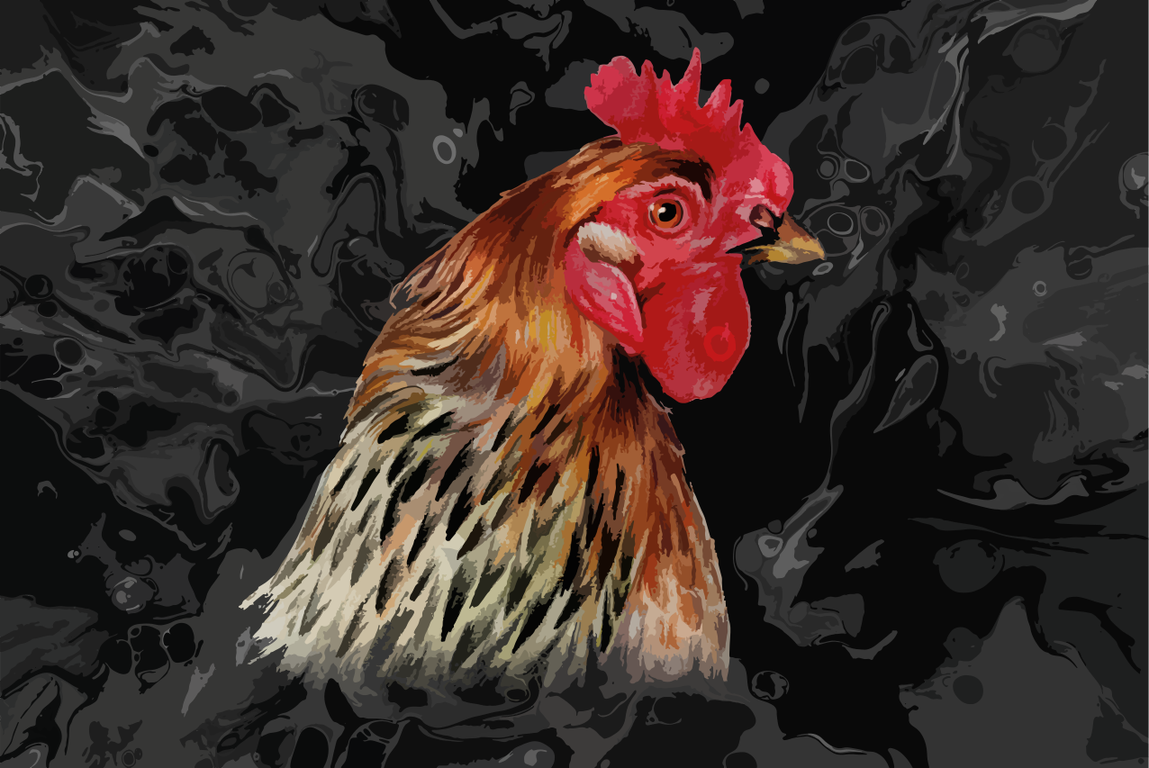 Original placemat colorful chicken portrait - TenStickers