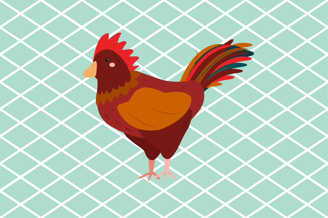 Original placemat charming rooster illustration - TenStickers
