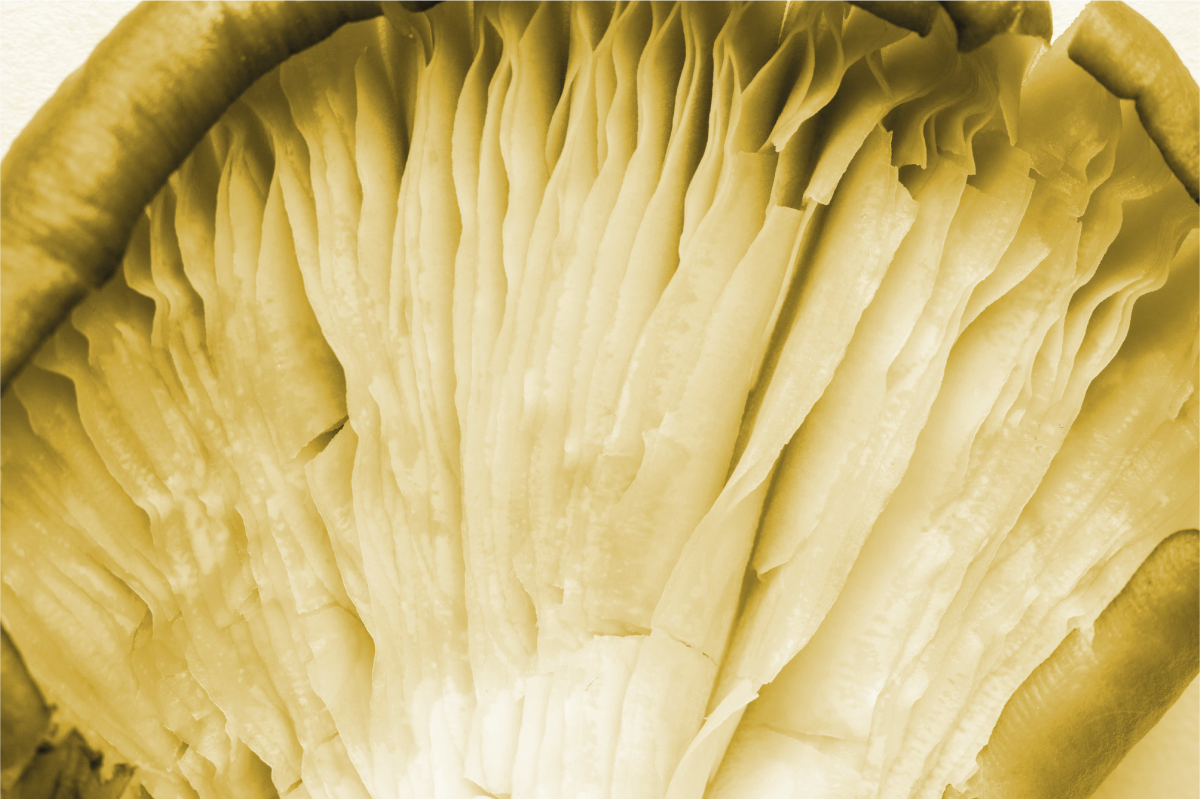 Curved leaf layers placemat - TenStickers