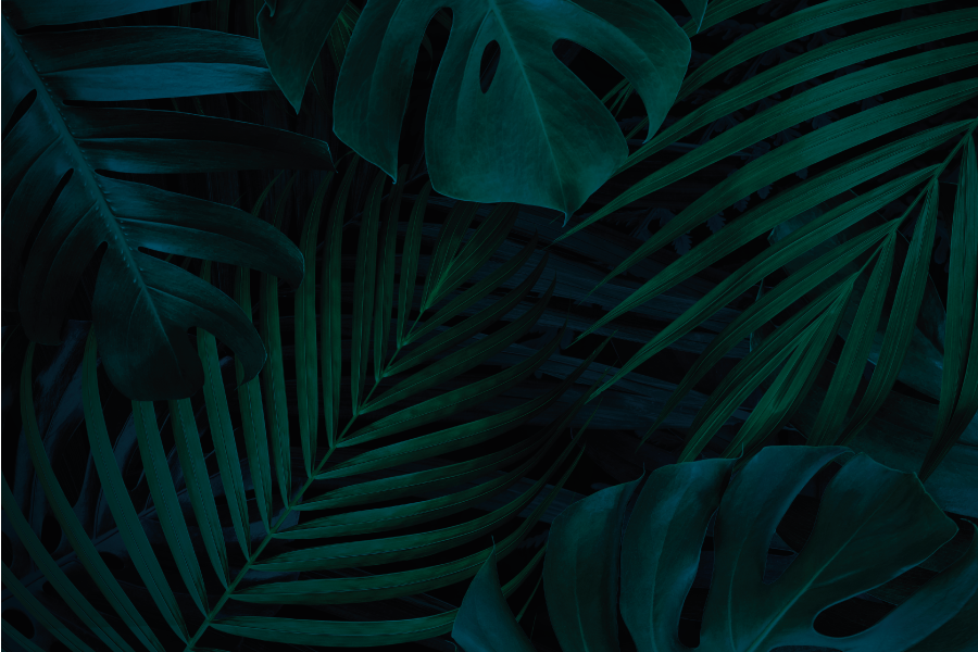 Tropical leaf appeal placemat - TenStickers