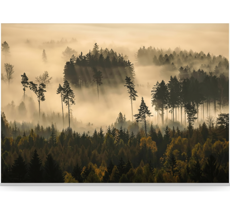 Forest wallpaper ethereal morning mist - TenStickers