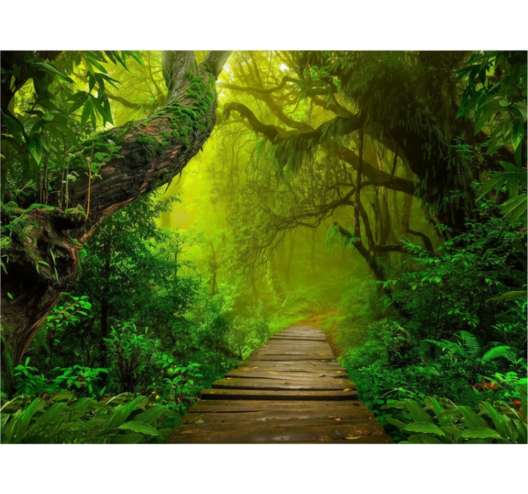 Forest wallpaper mystic forest path - TenStickers