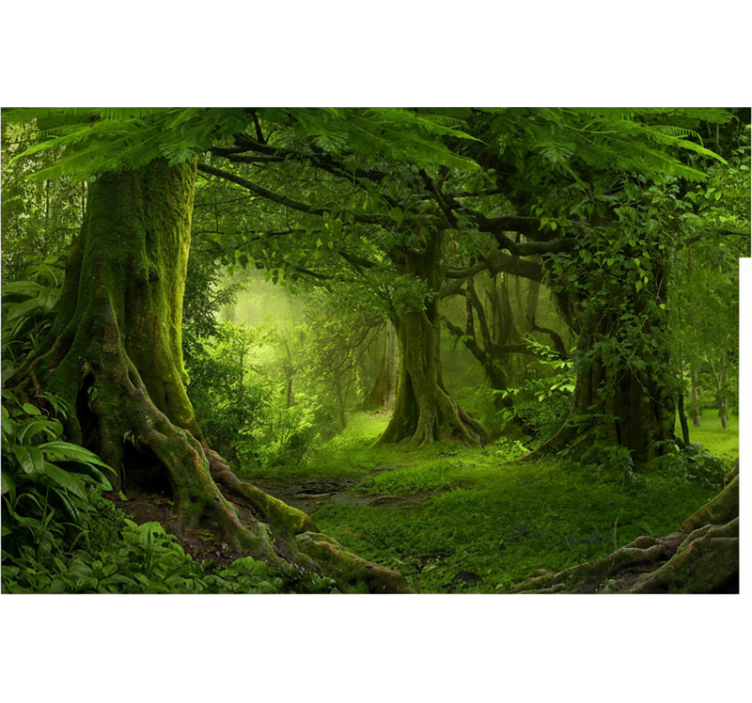 Forest wallpaper lush woodland retreat - TenStickers