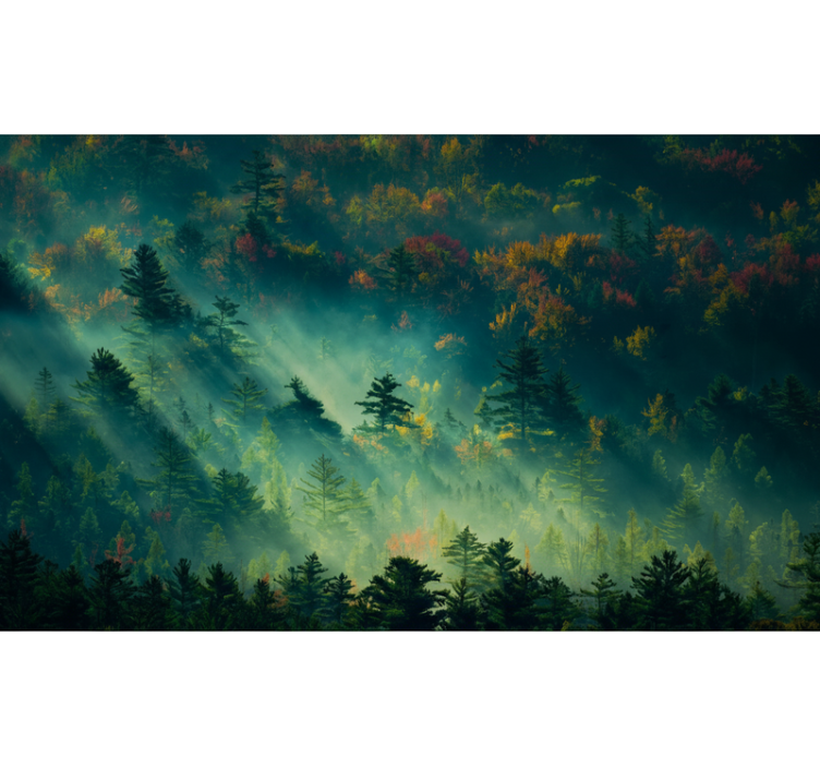 Forest wallpaper the gloomy forest - TenStickers