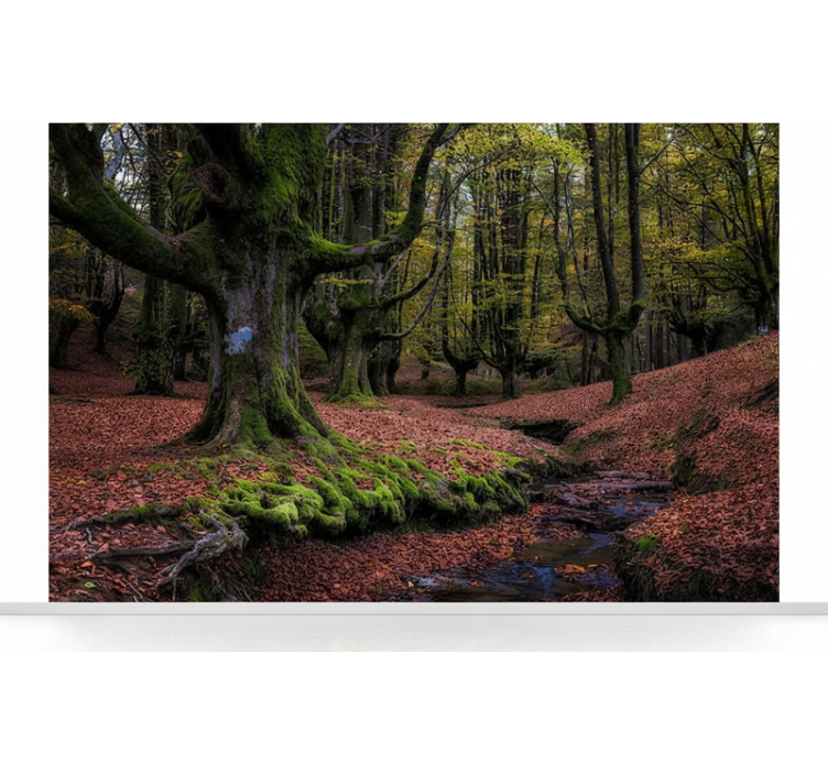 Forest wallpaper enchanted autumn forest - TenStickers