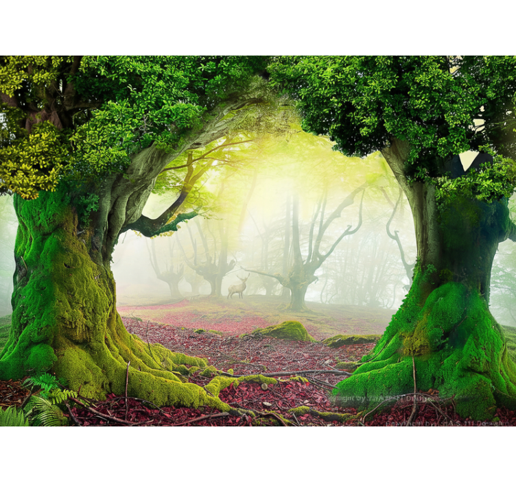 Nature wallpaper eternal forest entrance - TenStickers