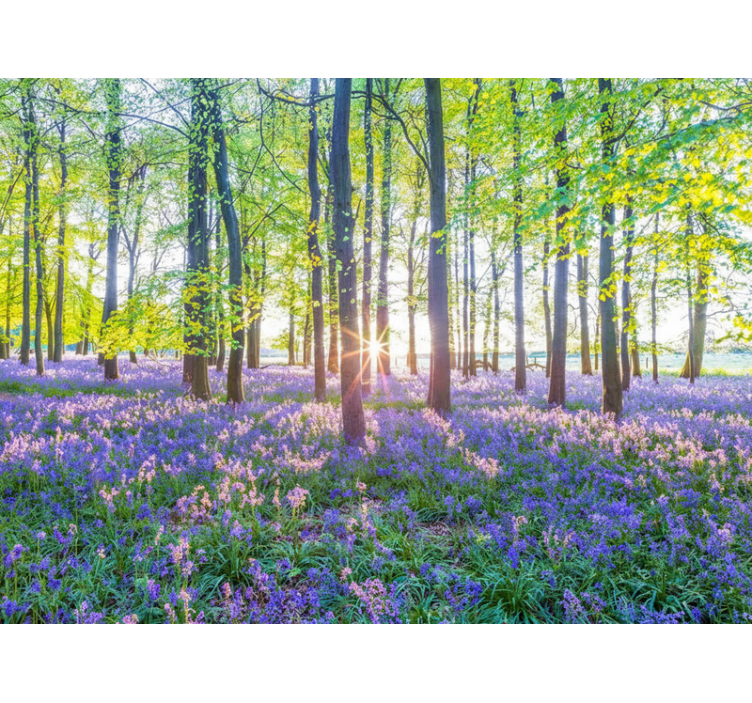 Forest wallpaper inspired by nature's modernism - TenStickers