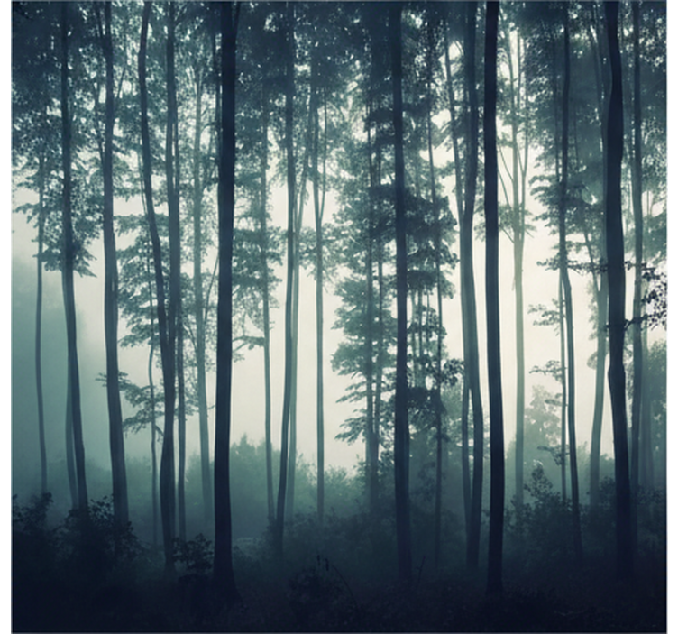 Forest wallpaper painted forest serenity - TenStickers