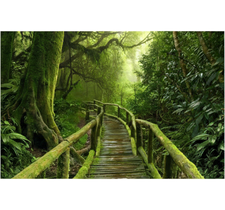 Forest wallpaper lush mossy boardwalk - TenStickers
