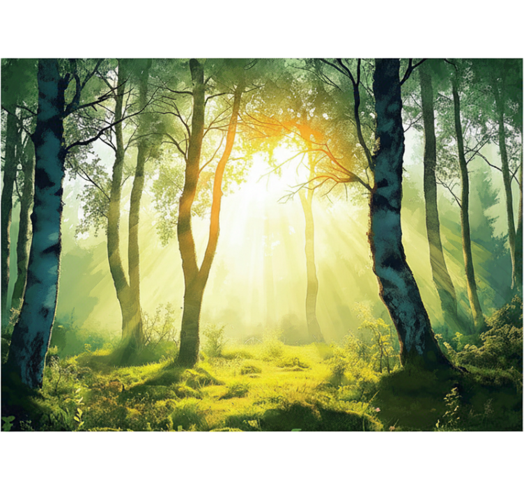 Forest wallpaper sunlit birch mural - TenStickers