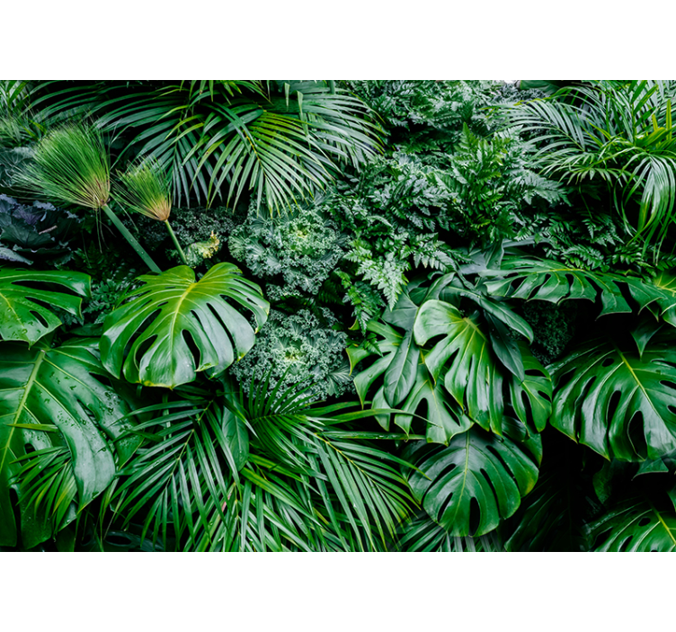 Jungle plants living room 3D wallpaper - TenStickers