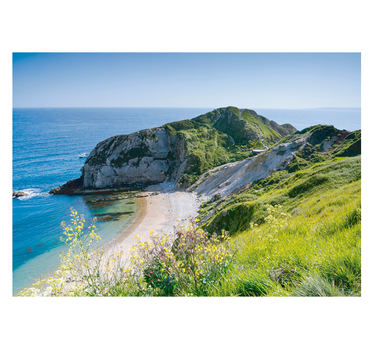 Nature wall mural Dorset coast - TenStickers