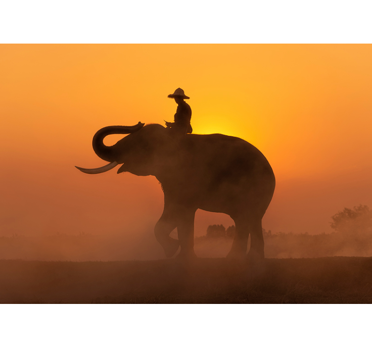 Silhouetted Elephant animals wall mural - TenStickers