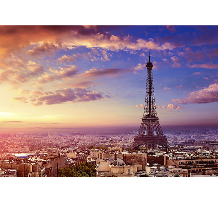 Parisian Skyline paris wall mural - TenStickers