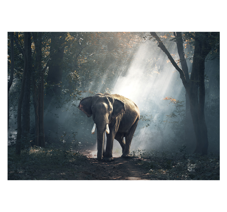 Animals wall mural majestic forest elephant - TenStickers