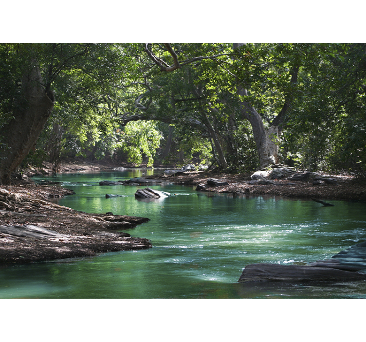 Wall mural nature serene river landscape - TenStickers