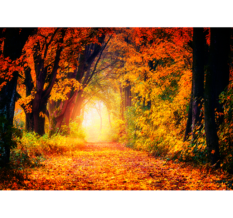 Autumnal path nature wall mural - TenStickers