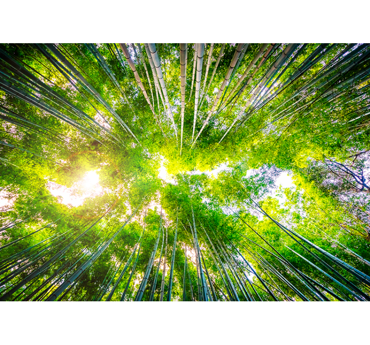 Bamboo Landscape Wall Mural - TenStickers