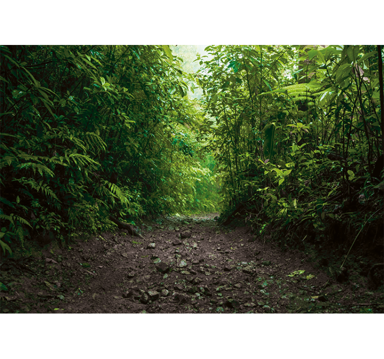Vibrant Green Trail wall mural nature - TenStickers