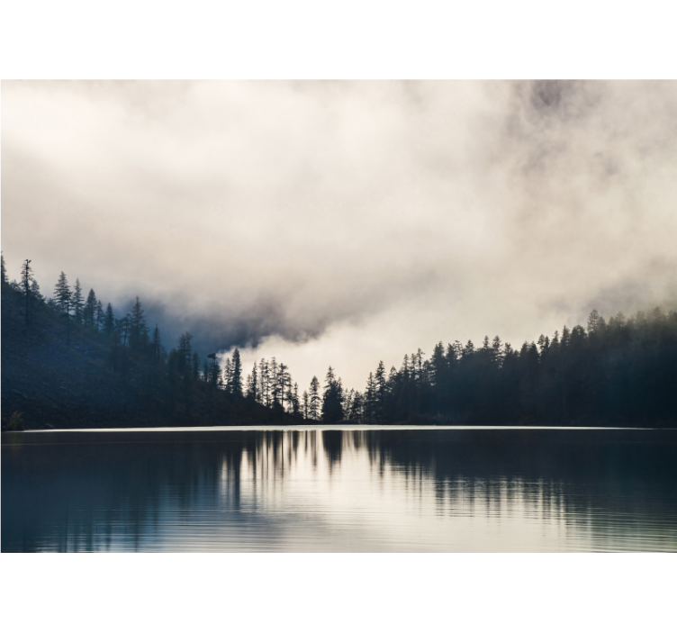 Misty Woodland Reflection landscape wall mural - TenStickers