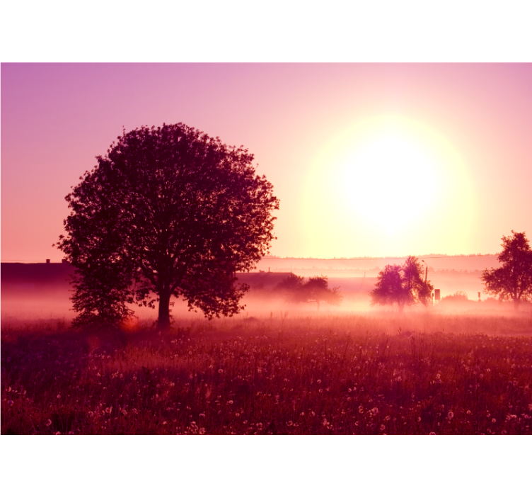 Wall mural nature silhouetted tree sunset - TenStickers