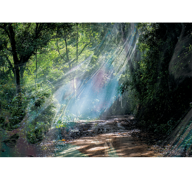 Nature wallpaper radiant forest path - TenStickers