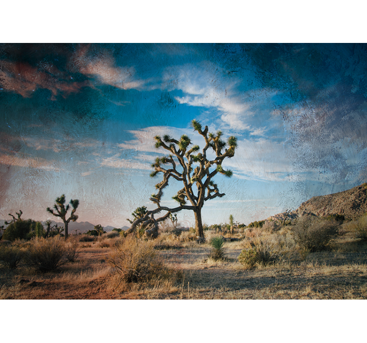 Joshua Tree Landscape wall mural nature - TenStickers