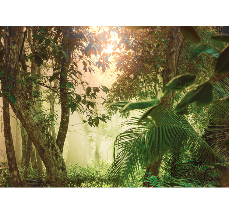 Wall mural nature sunny woodland scene - TenStickers