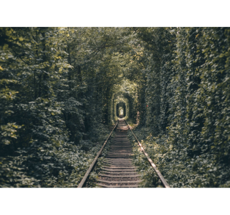 Forest Tunnel Path landscape wall mural - TenStickers