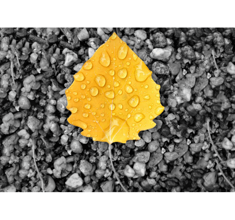 Yellow Leaf Detail wall mural nature - TenStickers