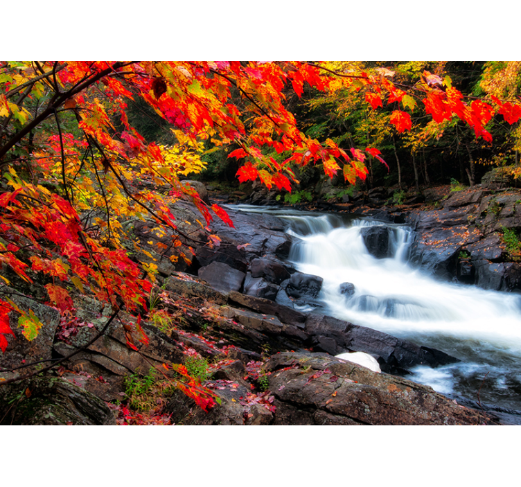 Forest wallpaper autumn waterfall scene - TenStickers